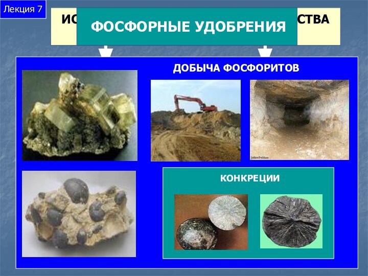 ИСТОЧНИКИ СЫРЬЯ ДЛЯ ПРОИЗВОДСТВА ФОСФОРНЫХ УДОБРЕНИЙАПАТИТЫФОСФОРИТЫЛекция 7 ФОСФОРНЫЕ УДОБРЕНИЯ