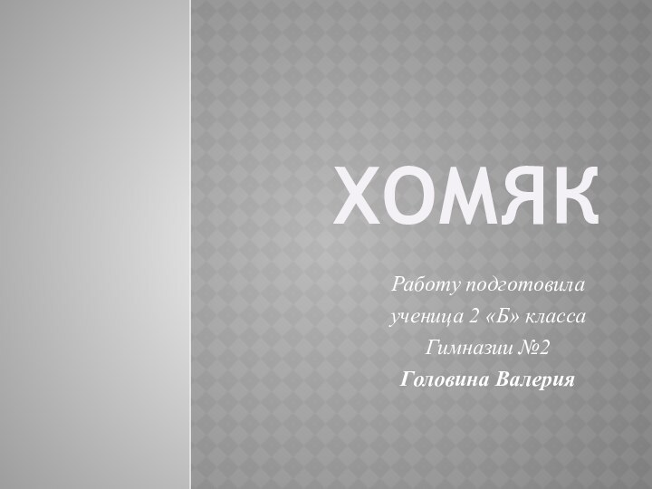 ХОМЯКРаботу подготовила ученица 2 «Б» классаГимназии №2    Головина Валерия