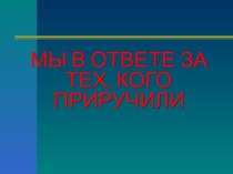 Мы в ответе за тех, кого приручили