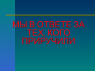 Мы в ответе за тех, кого приручили