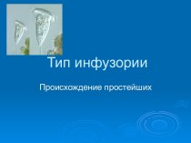 Тип инфузории