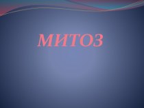 Митоз