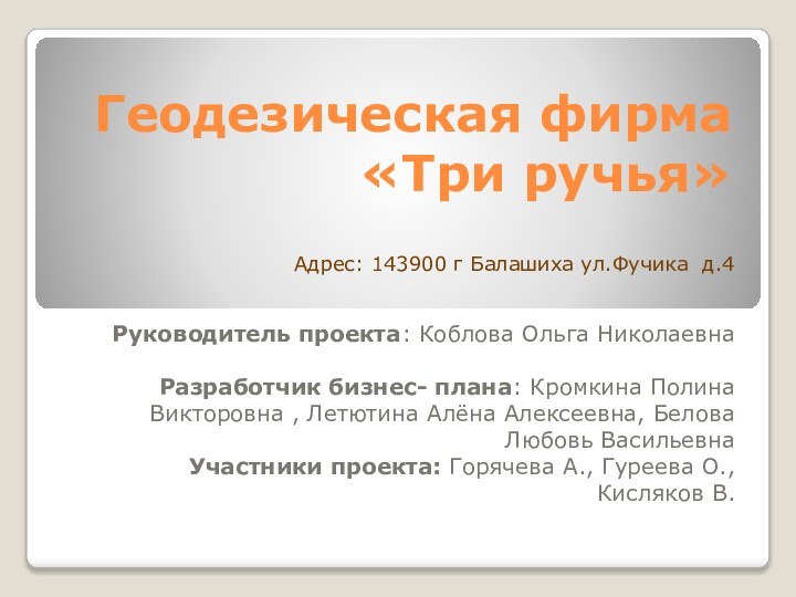 Геодезическая фирма «Три ручья» Руководитель проекта: Коблова Ольга НиколаевнаРазработчик бизнес- плана: Кромкина