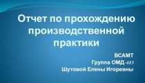 Отчет по прохождению производственной практики