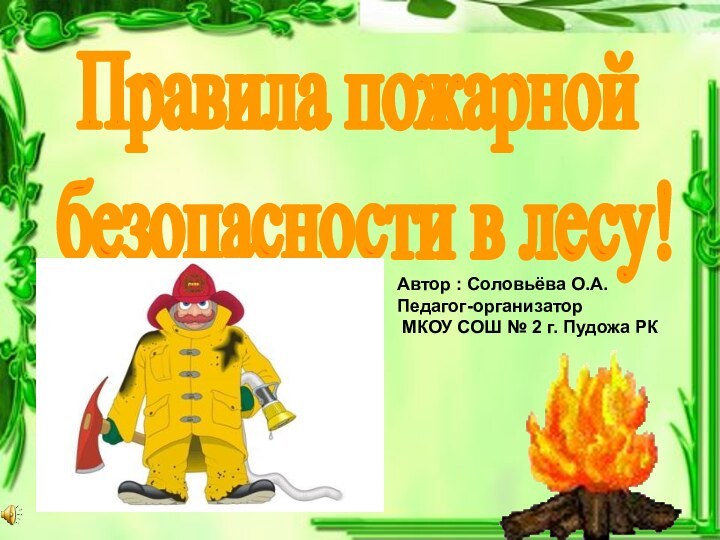 Правила пожарной безопасности в лесу!Автор : Соловьёва О.А.Педагог-организатор МКОУ СОШ № 2 г. Пудожа РК