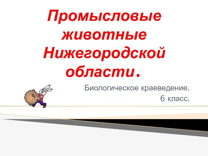 Промысловые животные Нижегородской области.Биологическое краеведение. 6 класс.