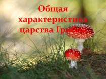 Общая характеристика царства Грибов