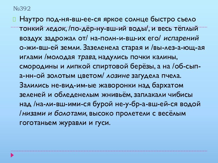 №392Наутро под-ня-вш-ее-ся яркое солнце быстро съело тонкий ледок, /по-дёр-ну-вш-ий воды/, и весь