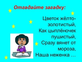 Открытка Мимоза