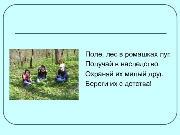 Поле, лес в ромашках луг.Получай в наследство.Охраняй их милый друг.Береги их с детства!