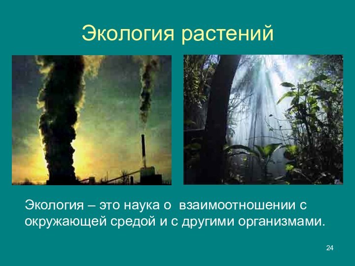 Экология растенийЭкология – это наука о взаимоотношении с окружающей средой и с другими организмами.