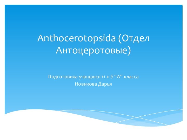 Anthocerotopsida (Отдел Антоцеротовые) Подготовила учащаяся 11 х-б “А” класса Новикова Дарья