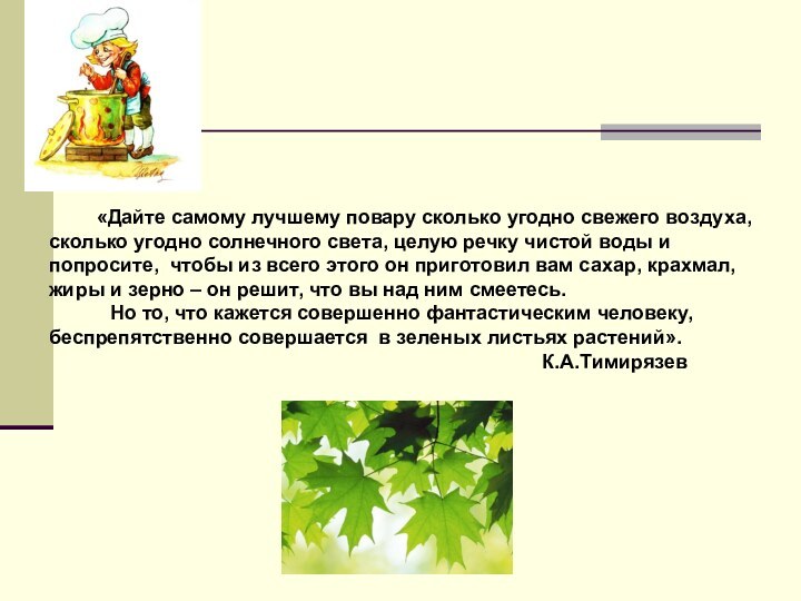 «Дайте самому лучшему повару сколько угодно свежего воздуха, сколько угодно солнечного света,