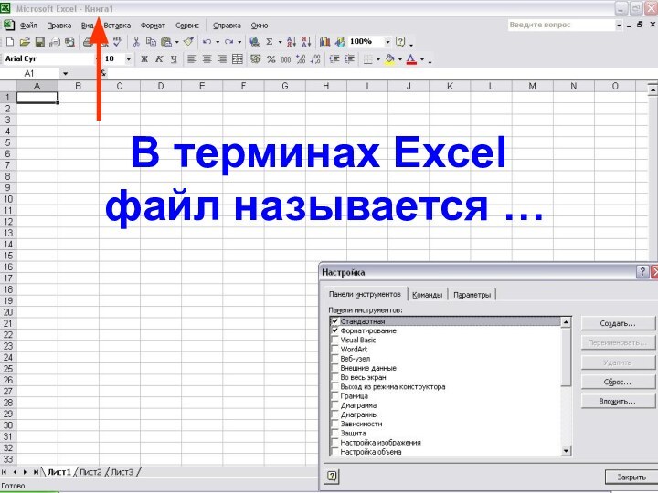 В терминах Excel  файл называется …