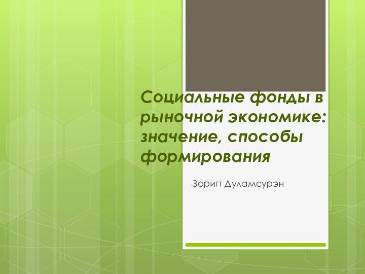 Социальные фонды в рыночной экономике: значение, способы формированияЗоригт Дуламсурэн