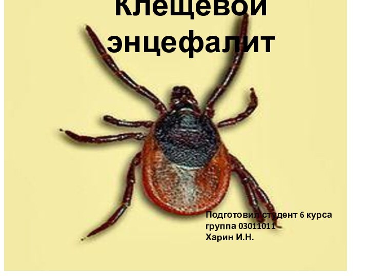 Клещевой энцефалитПодготовил студент 6 курсагруппа 03011011Харин И.Н.