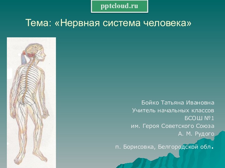 Тема: «Нервная система человека» Бойко Татьяна Ивановна Учитель начальных классовБСОШ