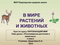 В мире растений  и животных