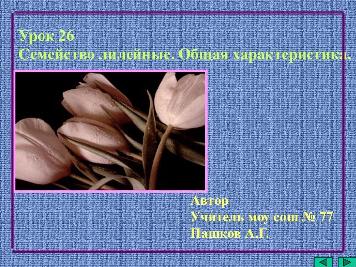 Урок 26Семейство лилейные. Общая характеристика.АвторУчитель моу сош № 77Пашков А.Г.