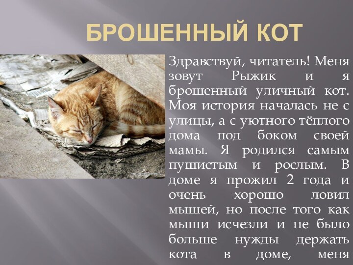 Брошенный котЗдравствуй, читатель! Меня зовут Рыжик и я брошенный уличный кот. Моя