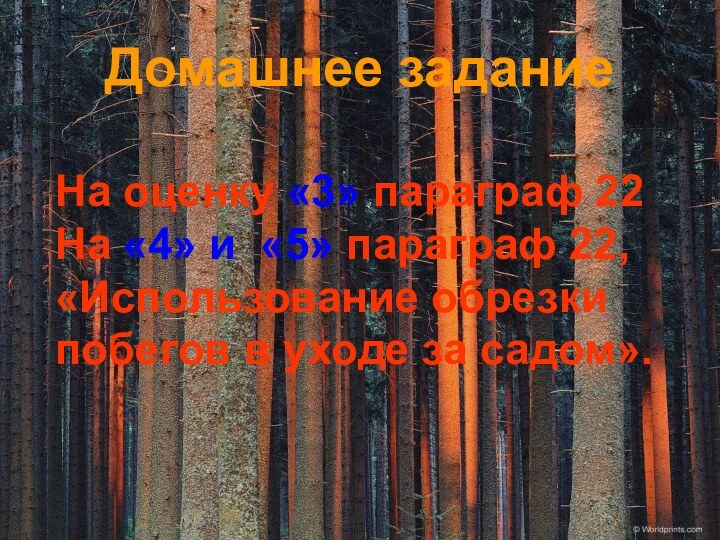 Домашнее заданиеНа оценку «3» параграф 22На «4» и «5» параграф 22, «Использование