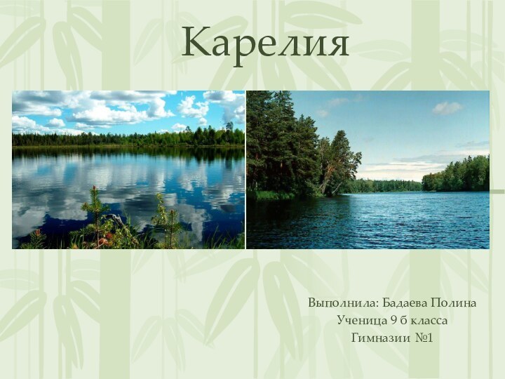 КарелияВыполнила: Бадаева ПолинаУченица 9 б классаГимназии №1