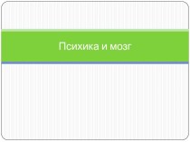 Психика и мозг