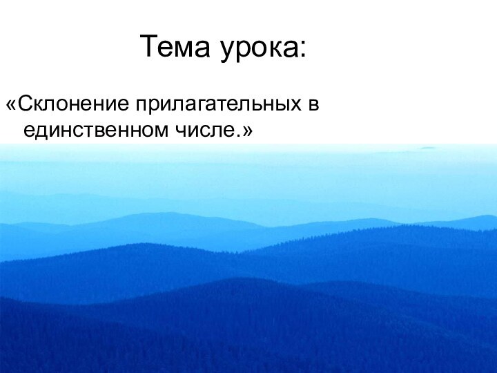 Тема урока:«Склонение прилагательных в единственном числе.»