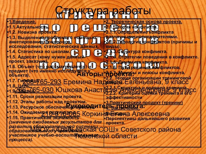 Авторы проекта:266-765-293 Еремина Надежда Евгеньевна, 9 класс266-765-030 Юшкова Анастасия Александровна, 9 классРуководитель проекта:210-816-085 Коркина