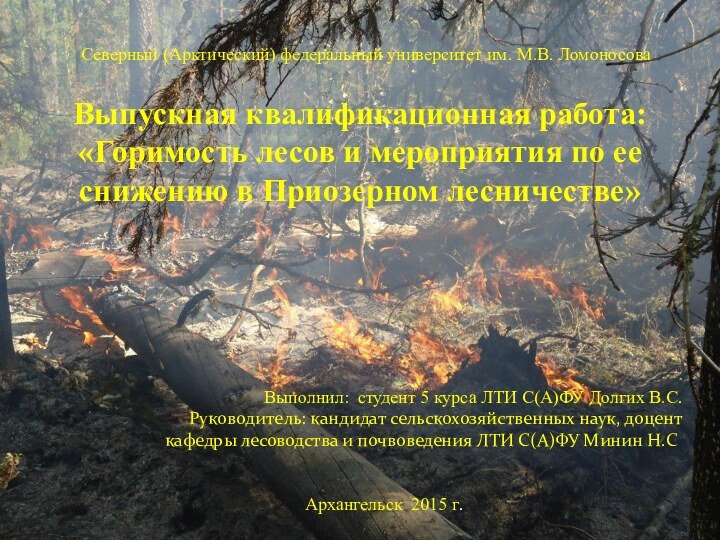 Выпускная квалификационная работа: «Горимость лесов и мероприятия по ее снижению в Приозерном