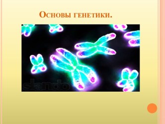 Основы генетики