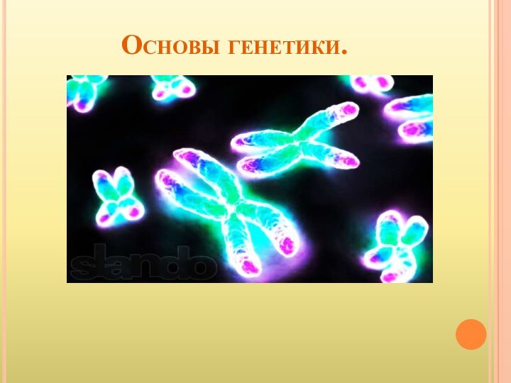 Основы генетики.