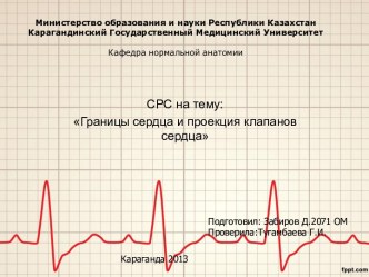 Границы сердца и проекция клапанов сердца