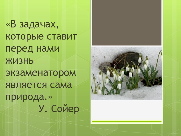 «В задачах, которые ставит перед нами жизнь экзаменатором является сама природа.»