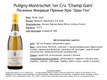 Puligny-montrachet 1er cru
