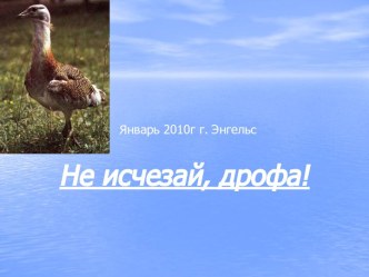 Не исчезай, дрофа!