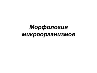 Морфология микроорганизмов