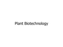 Plant biotechnology