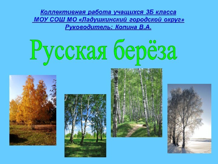 Русская берёза