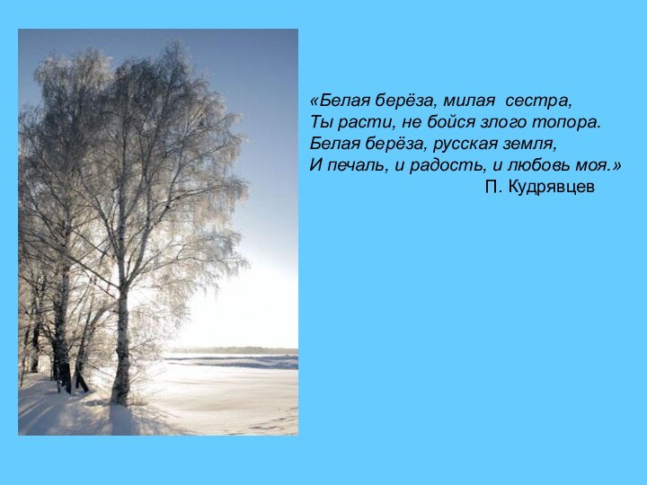 «Белая берёза, милая сестра,Ты расти, не бойся злого топора.Белая берёза, русская земля,И