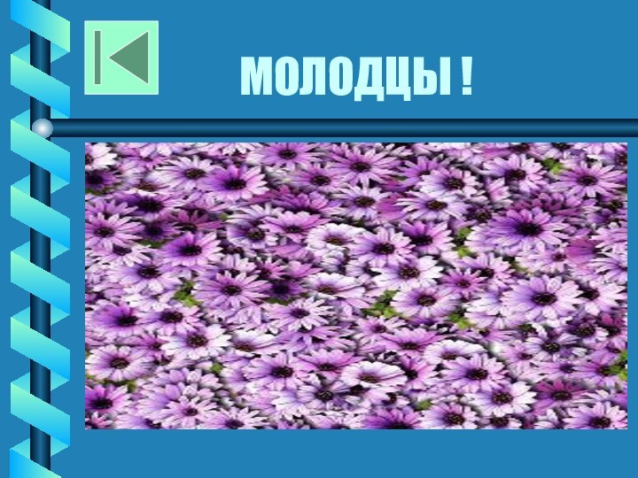 МОЛОДЦЫ !