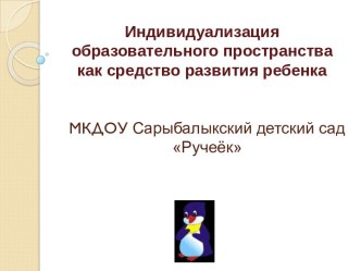 Индивидуализация образовательного пространства ДОУ