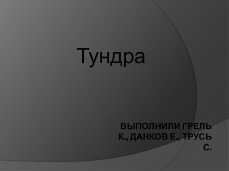 Тундра