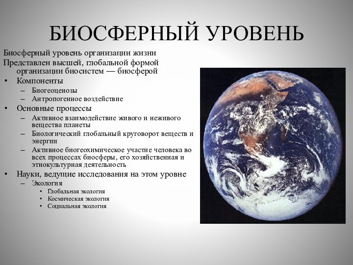 БИОСФЕРНЫЙ УРОВЕНЬБиосферный уровень организации жизниПредставлен высшей, глобальной формой организации биосистем — биосферойКомпонентыБиогеоценозыАнтропогенное воздействиеОсновные