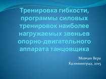 Тренировка гибкости, программы силовых тренировок наиболее нагружаемых звеньев опорно-двигательного аппарата танцовщика