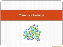 Функции и структура белков