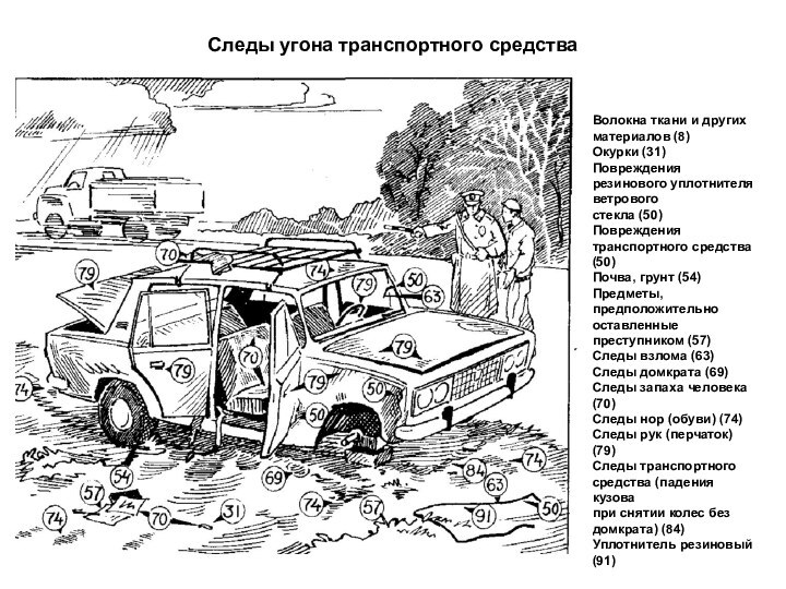 Следы угона транспортного средстваВолокна ткани и других материалов (8)Окурки (31)Повреждения резинового уплотнителя