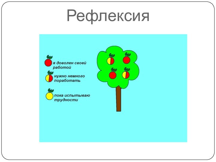 Рефлексия