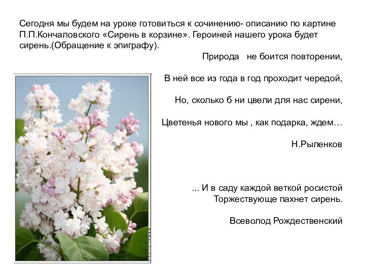 Сегодня мы будем на уроке готовиться к сочинению- описанию по картине П.П.Кончаловского