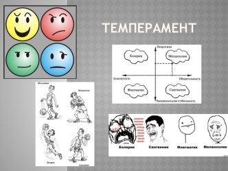 Темперамент і його види